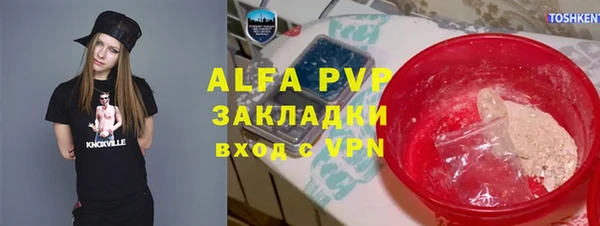 ГАЛЛЮЦИНОГЕННЫЕ ГРИБЫ Аркадак