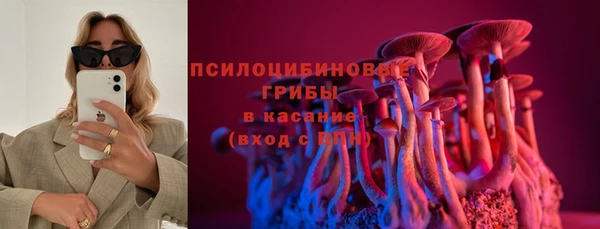 ГАЛЛЮЦИНОГЕННЫЕ ГРИБЫ Аркадак