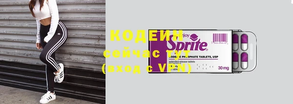 ГАЛЛЮЦИНОГЕННЫЕ ГРИБЫ Аркадак
