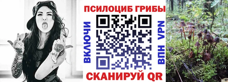 hydra ссылки  Трёхгорный  Галлюциногенные грибы Magic Shrooms 